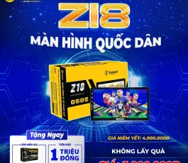 Màn hình Android Z18